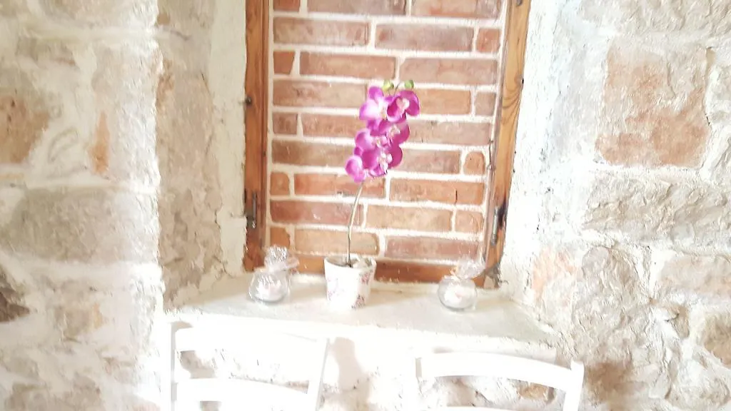 Apartment Elda Petrčane Chorwacja