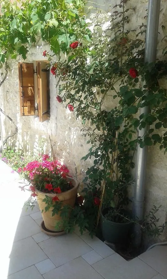 Apartment Elda Petrcane 0*,  Croatia