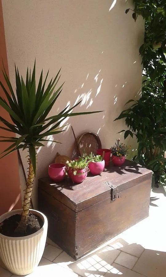 Apartment Elda Petrčane
